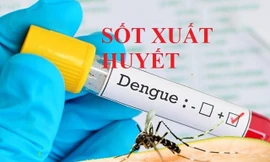 Hà Nội: Số ca mắc sốt xuất huyết tăng, thêm nhiều ổ dịch mới
