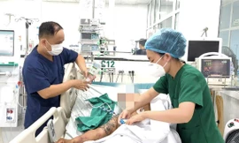 Nhiều người nguy kịch khi về Việt Nam vì 'mang' sốt rét ác tính từ châu Phi 