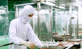 Hoàn thiện thể chế, đơn giản thủ tục: Trụ cột phát triển ngành Dược Việt Nam