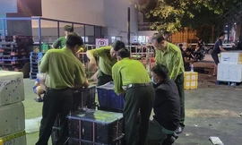 'Kho chim' bí ấn gần sân bay