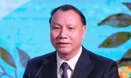 Chuyên gia dự báo: Điểm chuẩn có thể giảm 2–3 điểm, nhưng chưa chắc dễ đậu