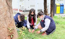 Dạy học sinh không chỉ biết giỏi Toán, giỏi Văn