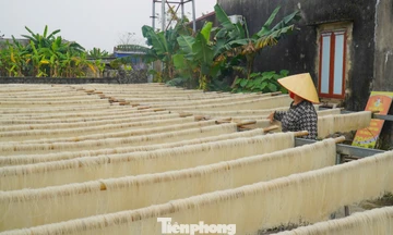 Làng miến gạo trăm năm tuổi nổi tiếng xứ Thanh tất bật vào Tết