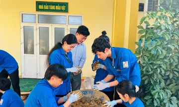 Thanh niên Hà Tĩnh chung tay làm 'bom hạt giống' để tái sinh rừng 