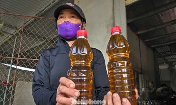 Sợ dầu ăn 'bẩn' trên thị trường, người dân Nghệ An đổ xô đi ép dầu hạt về sử dụng