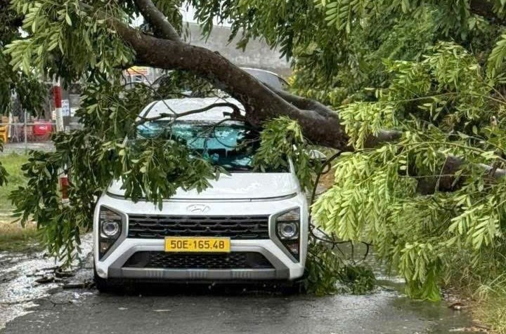 Mưa dông khiến cây ngã đổ trên đường Rạch Cầu Suối, xã Vĩnh Lộc (huyện Bình Chánh cũ). vinh-loc.jpg
