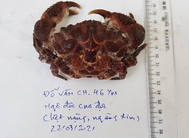 Xác định được loài cua gây ngộ độc ở Thanh Hóa, ăn 2 con là tử vong