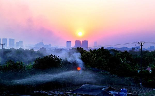 Hành vi đốt rơm rạ gây ô nhiễm môi trường có thể bị xử phạt. 