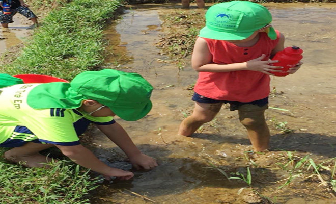 Lấy ý kiến về việc học sinh được hướng nghiệp ngay từ tiểu học