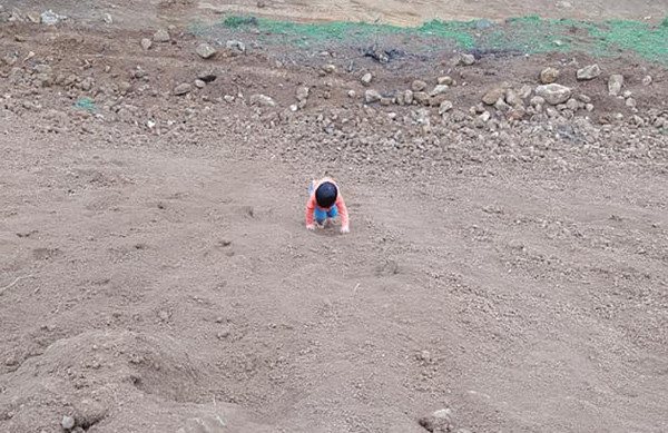 Một em bé ở Hà Nội được bố mẹ cho leo trèo, nghịch đất thay vì "nhốt" trong nhà. (ảnh: Facebook)