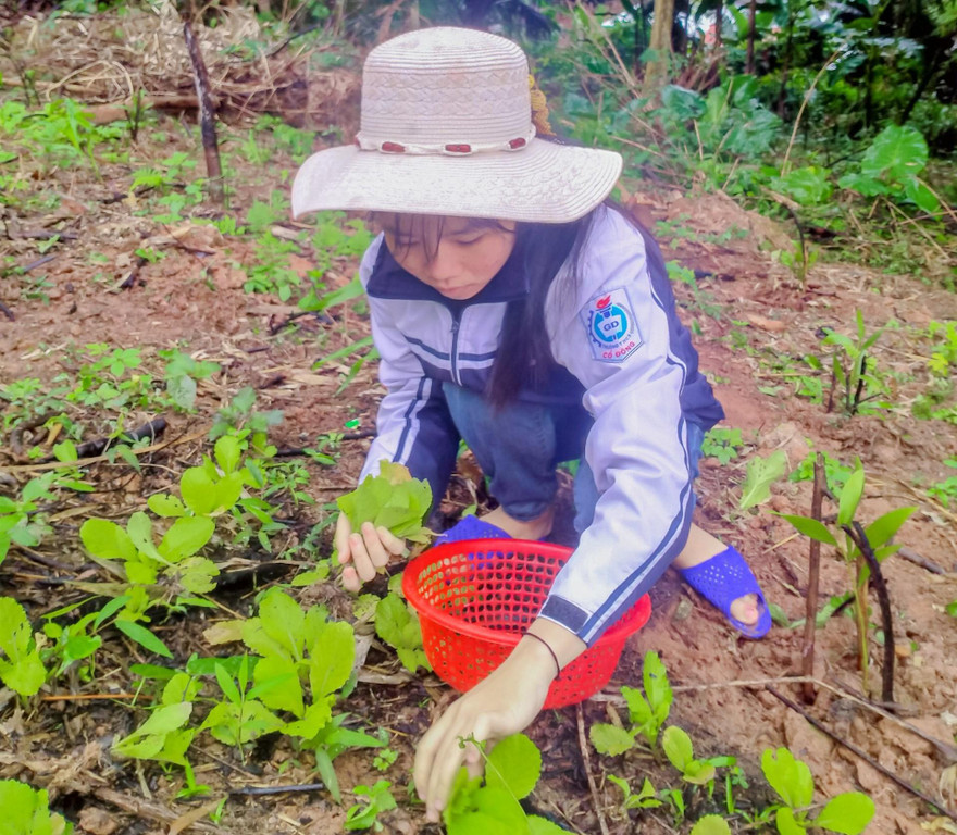 Nữ sinh cuốc cỏ, chặt mía thuê và nỗ lực thành thủ khoa đầu vào trường Đại học KHXH&NV