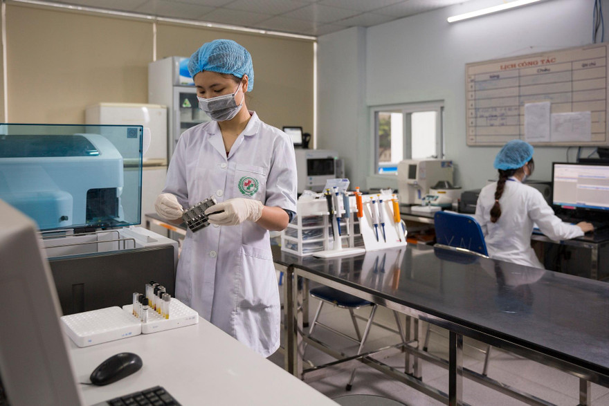 Giáo dục đại học Việt Nam có thêm 2 lĩnh vực được xếp hạng quốc tế 