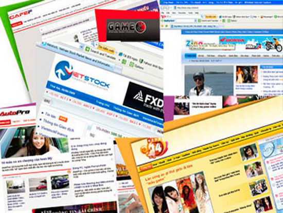 Tạm dừng cấp phép trang thông tin điện tử tổng hợp