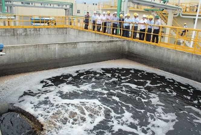 Formosa nằm ngoài danh sách thanh tra năm 2018