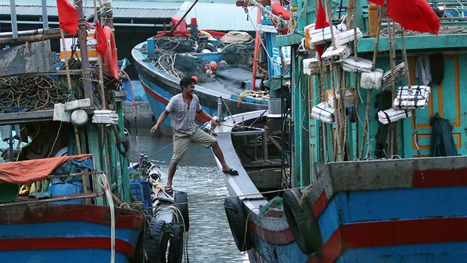 Ngư dân đưa thuyền vào nơi an toàn để trú bão