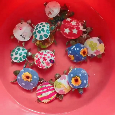 Giới bảo tồn phản đối hành động vẽ sơn lên mai rùa để bán