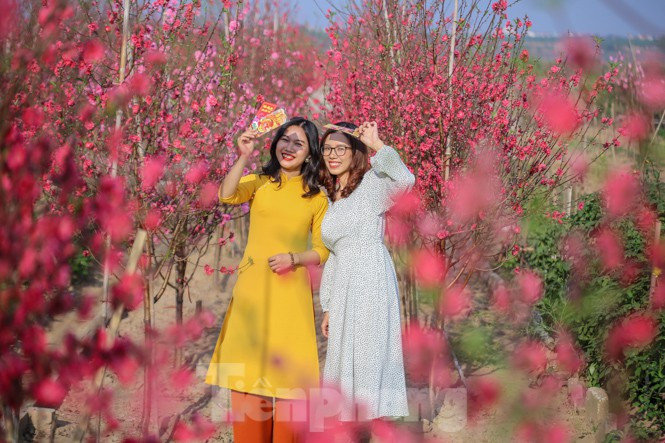 Dịp Tết nguyên đán, miền Bắc rét về đêm và sáng, trưa chiều hửng nắng.