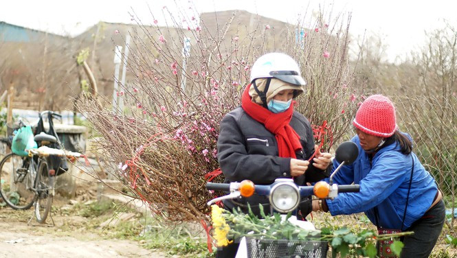 Dịp Tết Tân Sửu, thời tiết có thể không rét đậm, rét hại. 