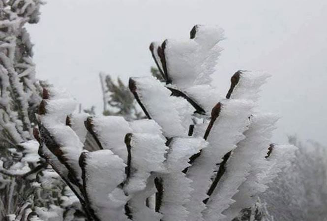 Sa Pa, Mẫu Sơn có thể đón băng giá vào cuối tuần này.