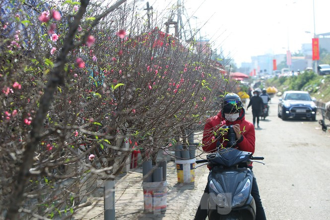 Thời tiết Hà Nội 3 ngày Tết khá đẹp. 