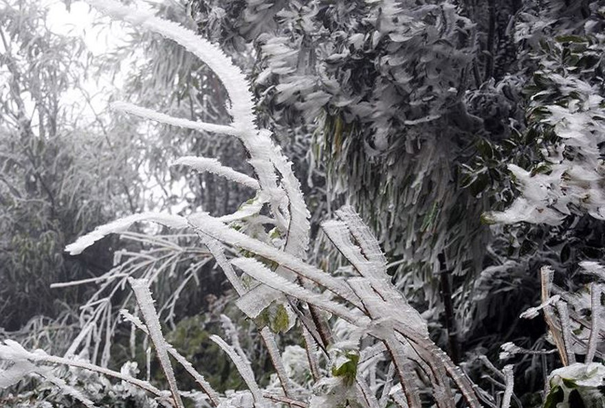 Vùng núi cao các tỉnh phía bắc có thể xuất hiện băng giá trong những ngày tới.