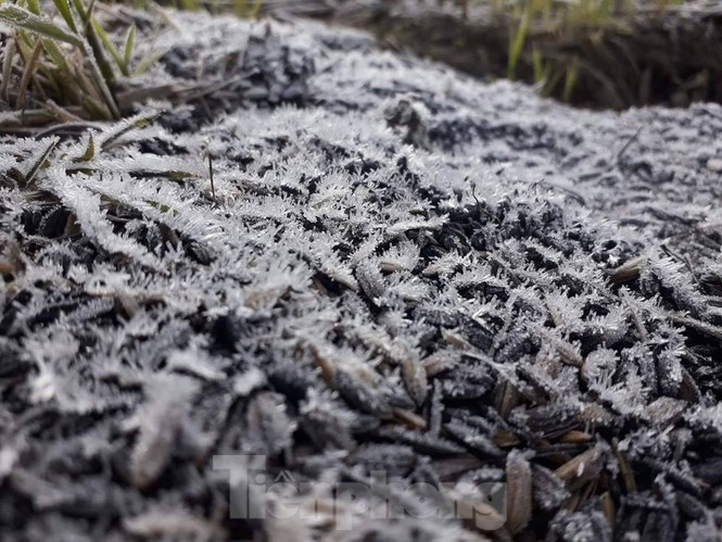 Băng đá có khả năng xuất hiện trong dịp Tết Nguyên đán Canh Tý tại vùng núi cao như Mẫu Sơn, Sa Pa. Ảnh: Dương Dương