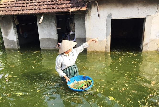 Lũ tái diễn trên sông Bùi, Chương Mỹ đối mặt ngập úng nghiêm trọng
