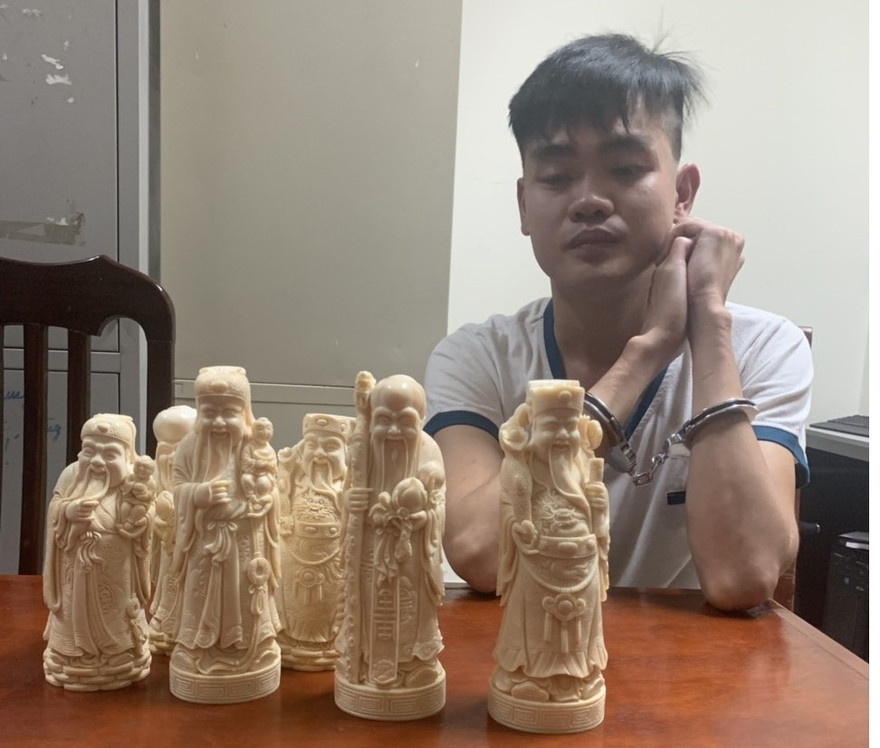 Sáu tượng ngà voi được cơ quan chức năng thu giữ.