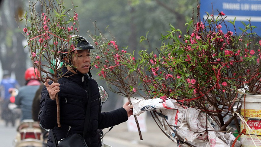 Thời tiết Tết năm nay khá ấm trên cả nước. 