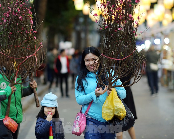 Thời tiết ấm dần từ hôm nay