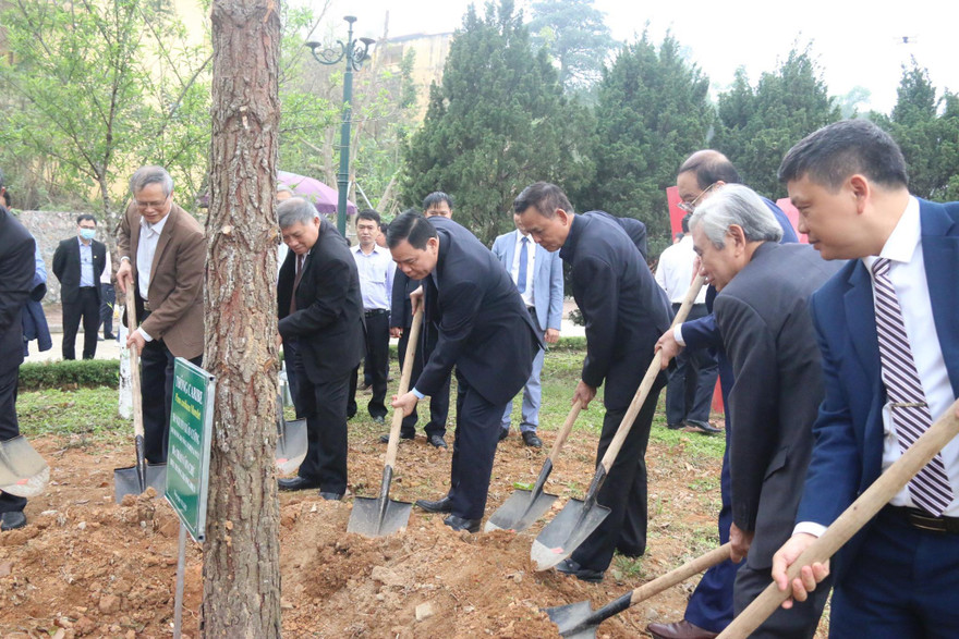 Một trường đại học phấn đấu trồng 75.000 cây xanh