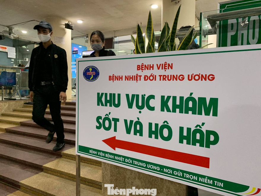 Ảnh: Như Ý