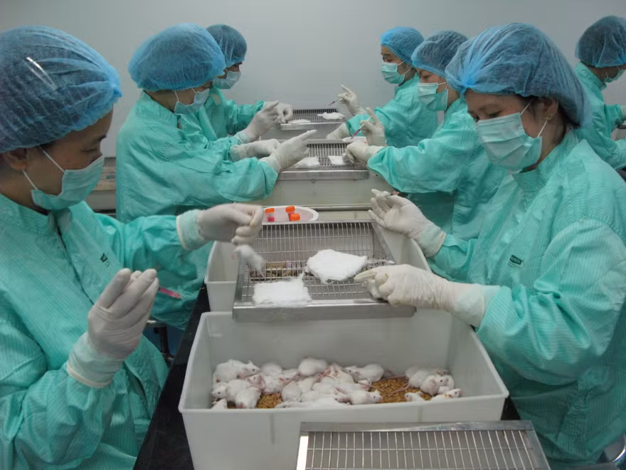 3 đội công tác đặc biệt 'chi viện' dập dịch COVID -19 ở Đà Nẵng