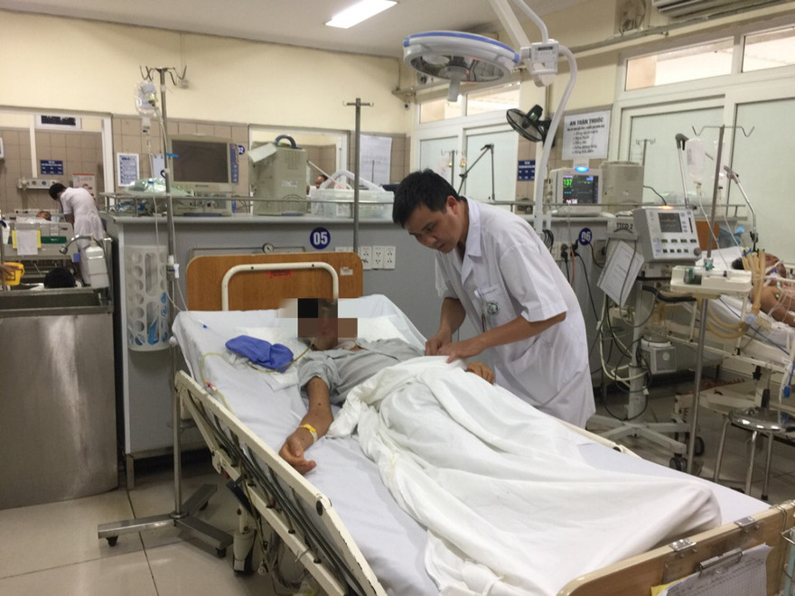 Suy thận, suy đa tạng vì bị ong đốt