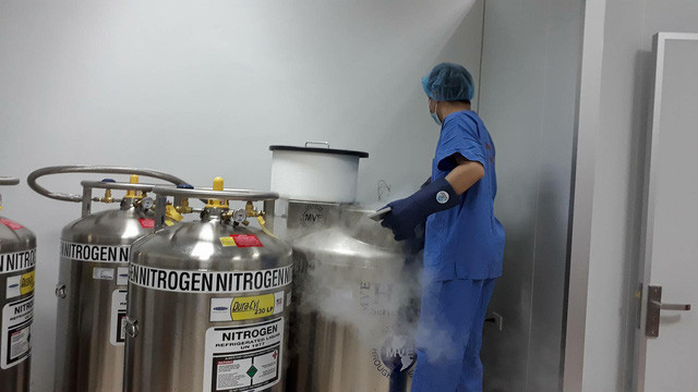 Cơ hội chữa 80 bệnh cho con nhờ lưu giữ tế bào gốc máu cuống rốn