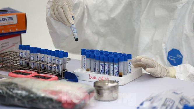 Việt Nam xuất hiện chủng virus mới gây COVID-19 