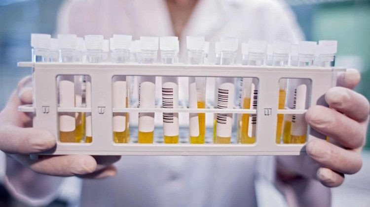 Năm người đã khỏi COVID-19 hiến huyết tương điều trị bệnh nhân nặng