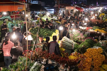 Hà Nội: Chợ hoa Quảng An 'không ngủ' dịp Tết 