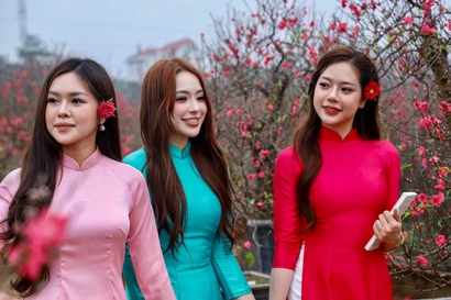 Thiếu nữ xúng xính áo dài, check-in vườn đào Nhật Tân