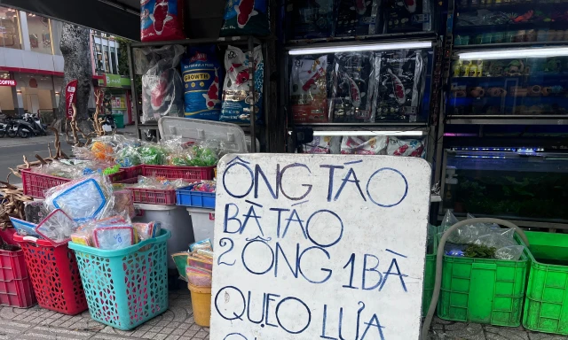 Cá chép '2 ông 1 bà' ngóng khách