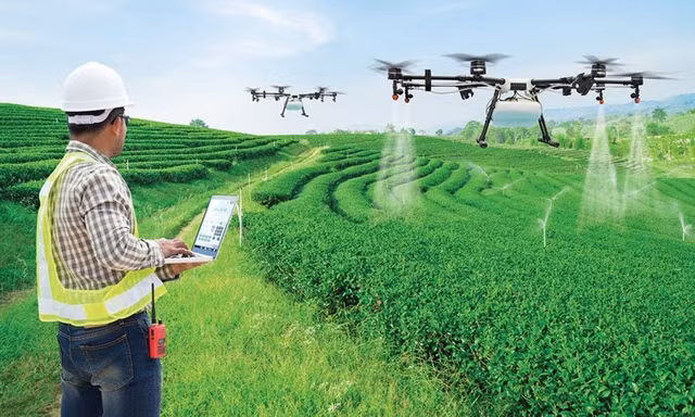 Vì sao cần đưa AI, robot xuống đồng ruộng?