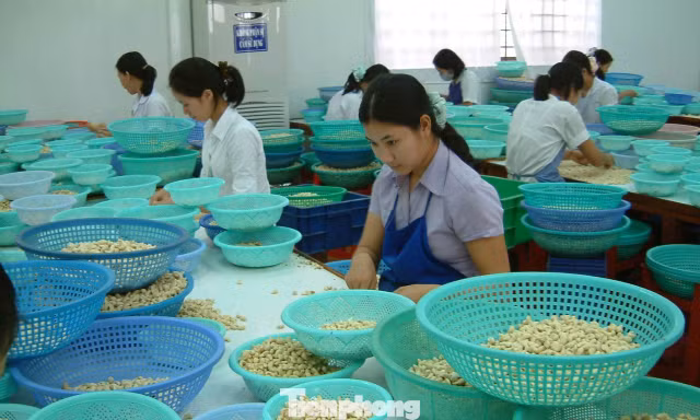 Đàm phán thương mại cần 'ông cho chân giò, bà thò chai rượu'