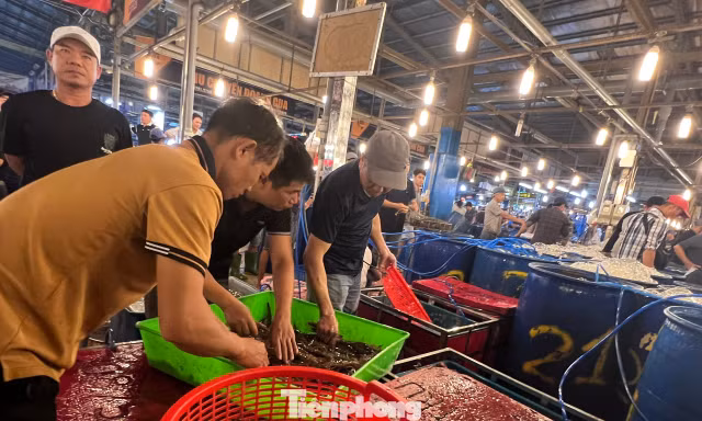 Lạc lối ở chợ đầu mối, săn sản vật 'ngon, size khủng' với giá rẻ không tưởng về ăn Tết