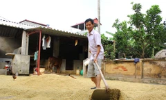 Từ ngày được minh oan, ông Chấn chỉ ở nhà giúp việc vặt cho vợ. Ảnh: Hoàng Phương