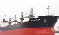 Nghi vấn quanh hành trình Vinalines Queen