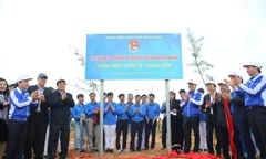 Ủy viên Bộ Chính trị, Bí thư Trung ương Đảng, Trưởng Ban Tổ chức Trung ương Phạm Minh Chính cùng đại diện lãnh đạo các Ban, Bộ, ngành Trung ương, địa phương cùng hơn 2.000 thanh niên chung tay vun trồng rừng phi lao chắn sóng tại Quảng Ninh.