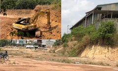 Xử lý các đối tượng 'dời' cả quả đồi mang đi bán ở Bình Dương