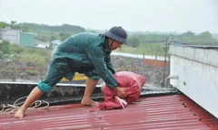 Dân quân tự vệ dầm mưa chằng chống nhà cửa chống bão
