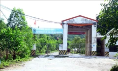 UBND tỉnh Nghệ An chỉ đạo xử lý ô nhiễm tại trại lợn Công ty Đại Thành Lộc