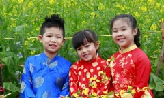 Dàn siêu mẫu nhí rực rỡ đón Xuân